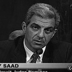 Judge Henry Saad